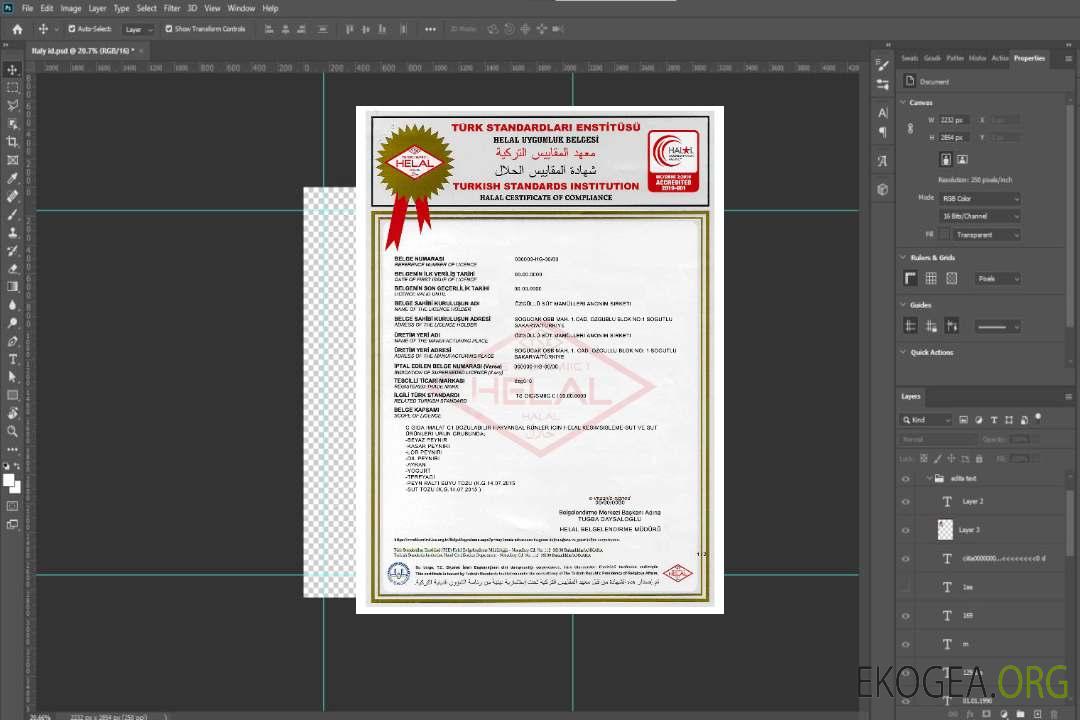 Certificat de l'Institut turc de normalisation template